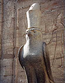 Horus Falcon God