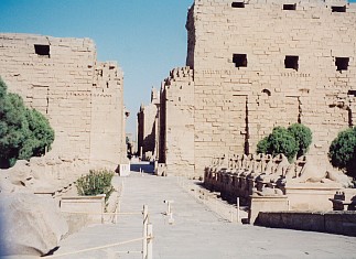 entrance to Karnak where visitors are greeted by ram headed sphinxes
