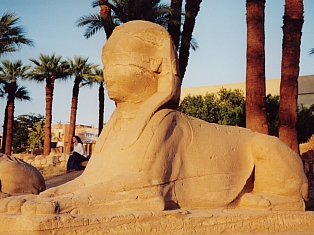 Sphinx lining dromos built by Nectanebo  I 