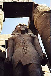 statue of Ramesses  II within the columns of Ramesses court