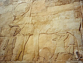 Hatshepsut suckling Hathor